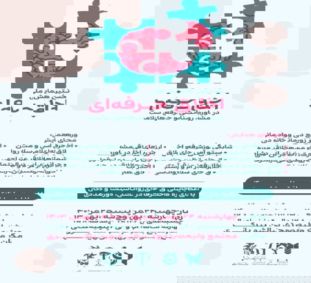 نتیجه شرکت در این همایش....